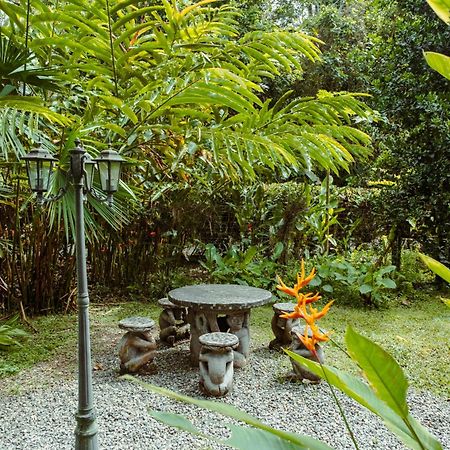 Hotel Pura Vida Vegana à Cahuita Extérieur photo