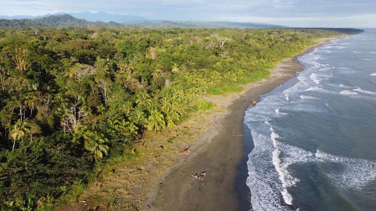 Hotel Pura Vida Vegana à Cahuita Extérieur photo