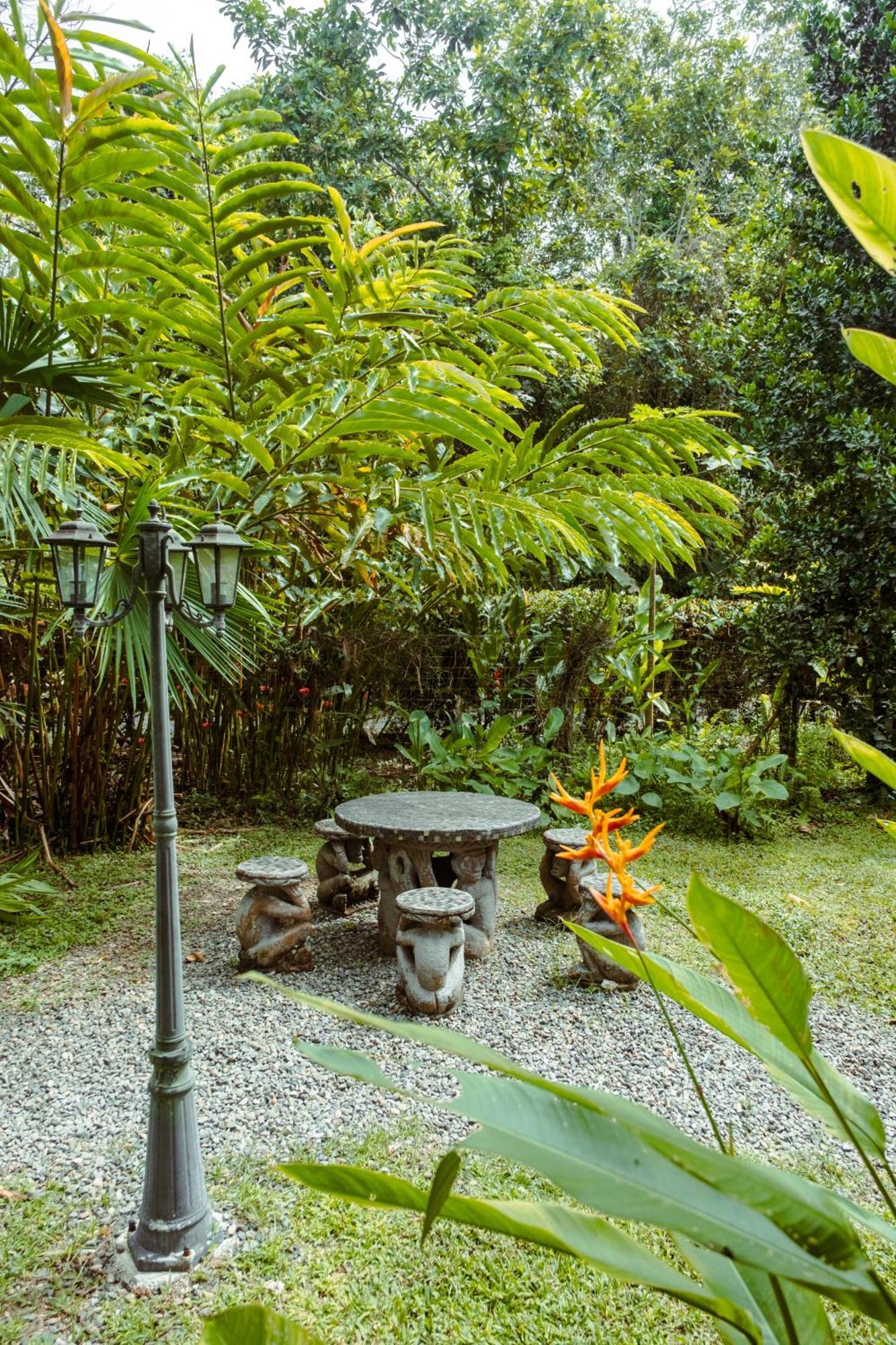 Hotel Pura Vida Vegana à Cahuita Extérieur photo